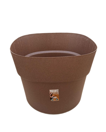 tera Andromeda Red Amber