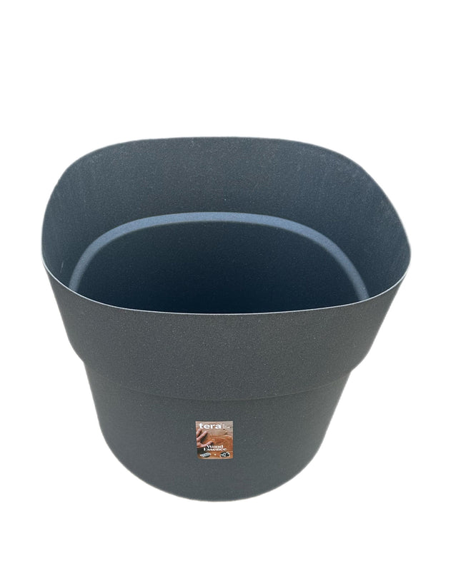 tera Andromeda Indygo