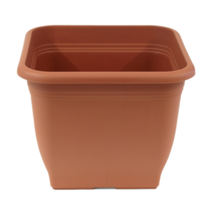 Collection image for: Quadratische Pflanzgefäße