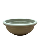 20cm / Rosmarino