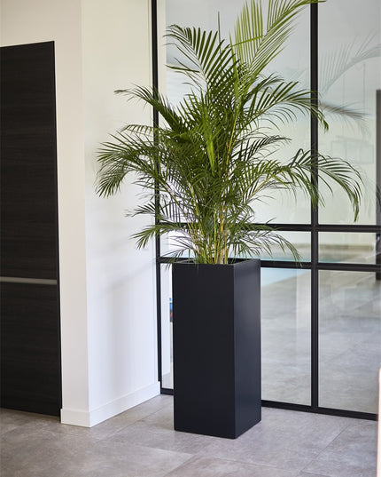 LUCA Argento High Cube Black