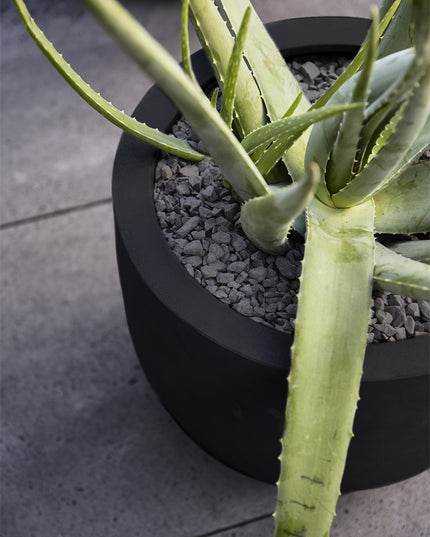 LUCA Argento New Egg Pot Black