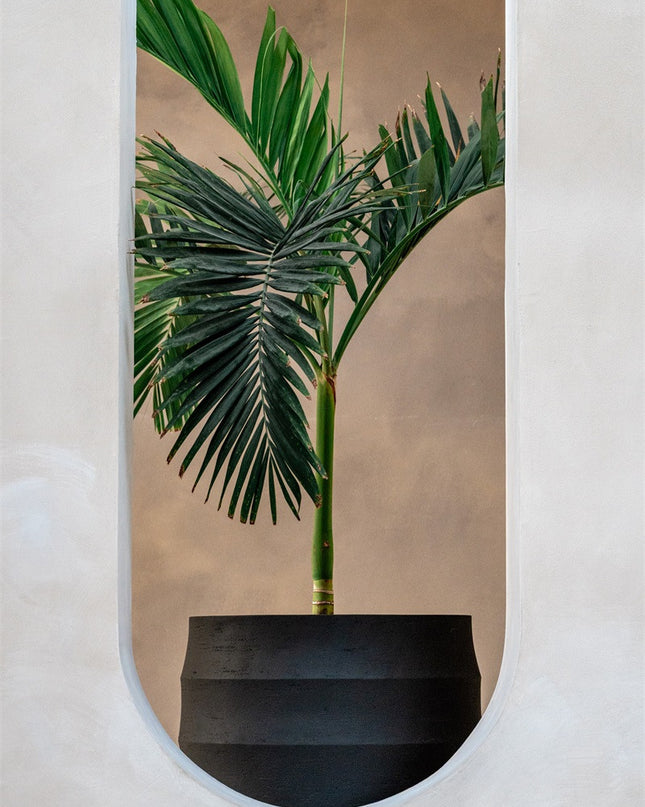 LUCA Bordo Balloon Earth