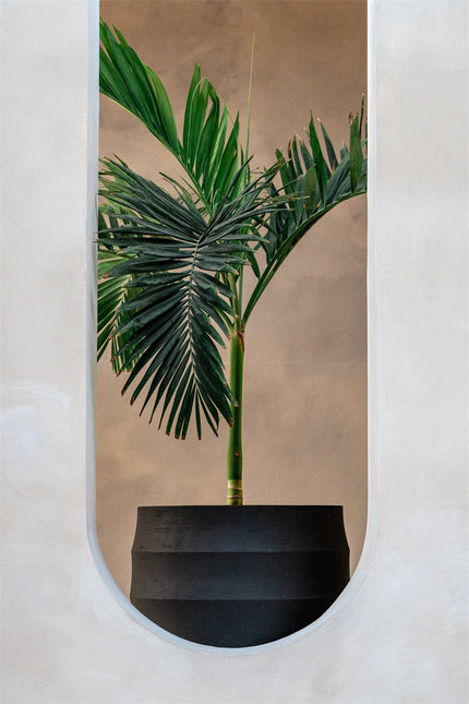 LUCA Bordo Balloon Earth