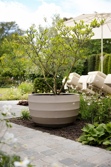 LUCA Bordo New Egg Pot Low Sand