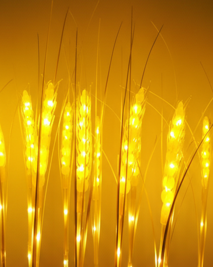 Exklora Weizenähren 15-90er Sets Dimmbar/nicht Dimmbar