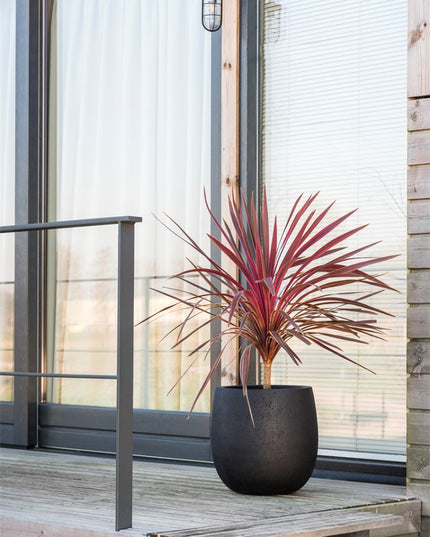 LUCA Grigio Balloon Anthracite