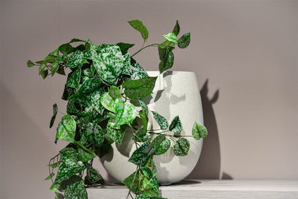 LUCA Grigio Balloon Antique White