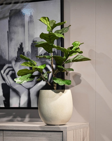 LUCA Grigio Balloon Antique White