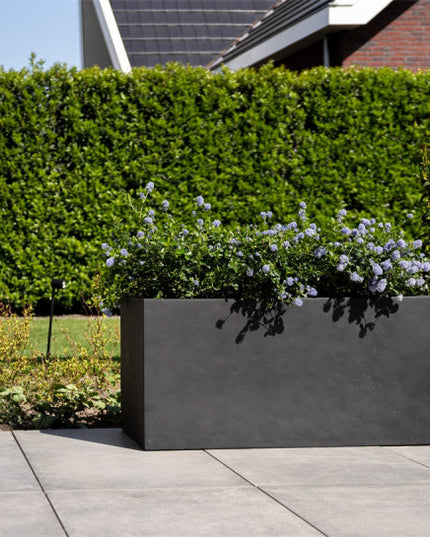 LUCA Grigio Box Anthracite