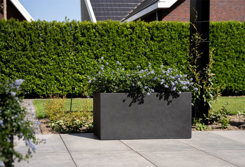 LUCA Grigio Box Anthracite