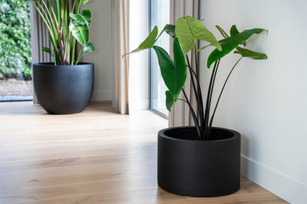 LUCA Grigio Cylinder Anthracite