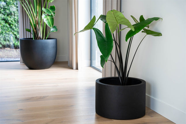 LUCA Grigio Cylinder Anthracite