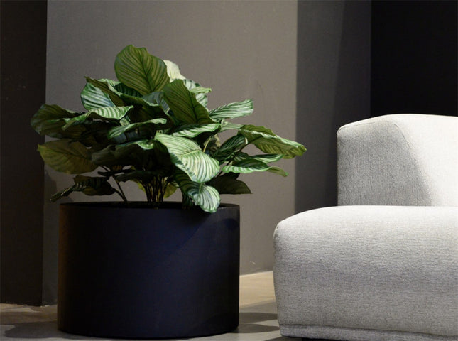 LUCA Grigio Cylinder Anthracite