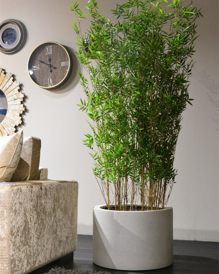 LUCA Grigio Cylinder Antique White