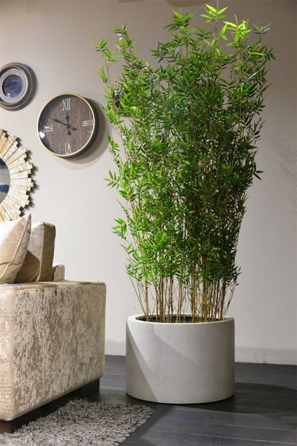 LUCA Grigio Cylinder Antique White