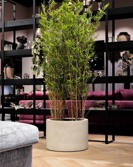 LUCA Grigio Cylinder Antique White