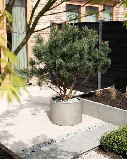 LUCA Grigio Cylinder Natural Concrete