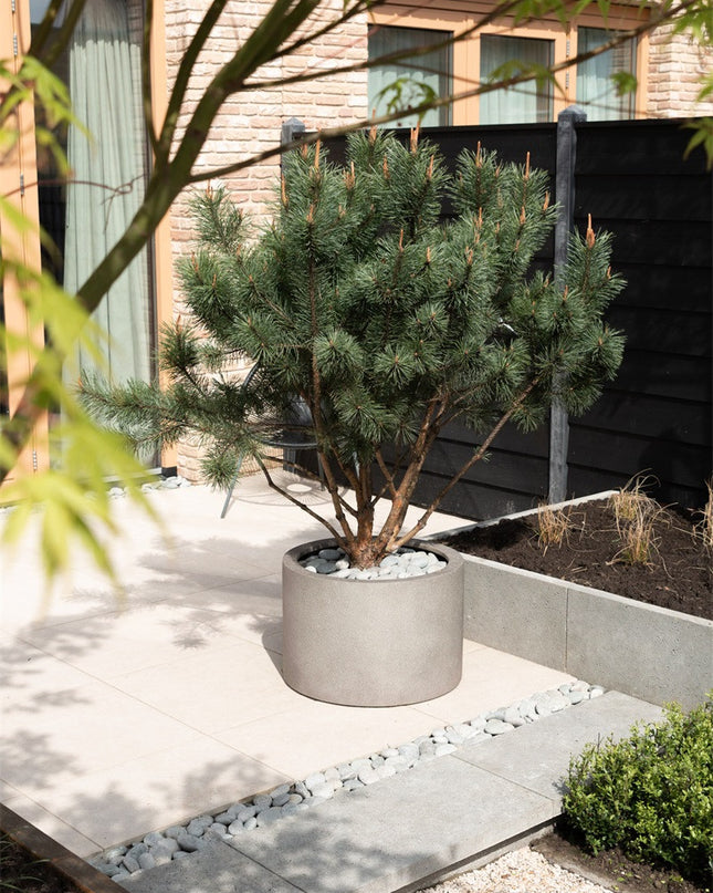 LUCA Grigio Cylinder Natural Concrete