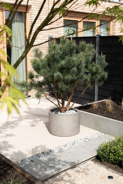 LUCA Grigio Cylinder Natural Concrete