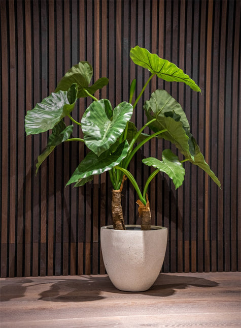 LUCA Grigio Egg Pot Antique White