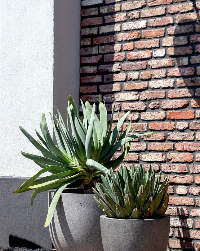 LUCA Grigio Egg Pot Natural Concrete