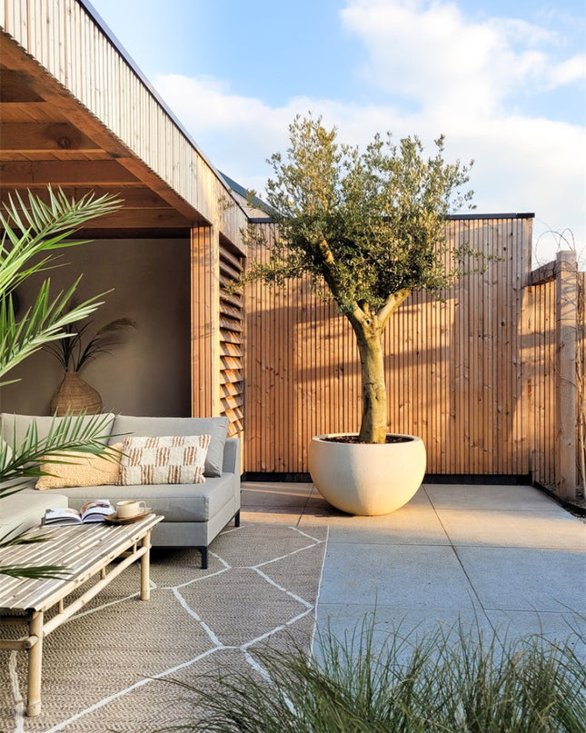 LUCA Grigio Elena Antique White