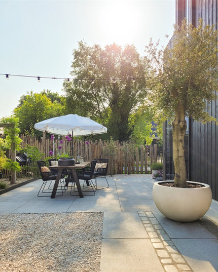 LUCA Grigio Elena Antique White