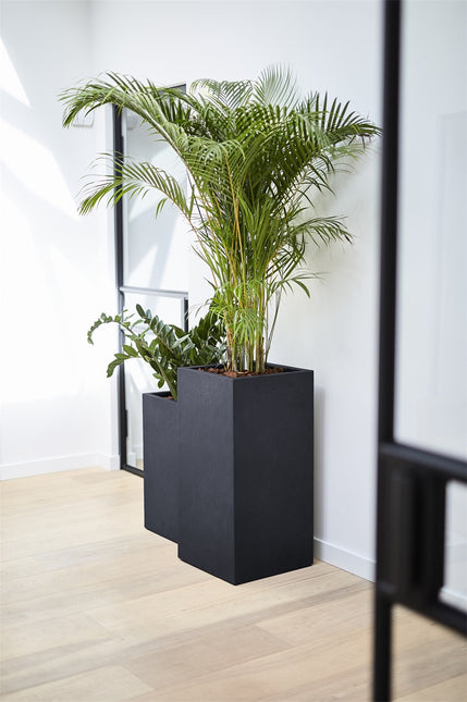 LUCA Grigio High Cube Anthracite