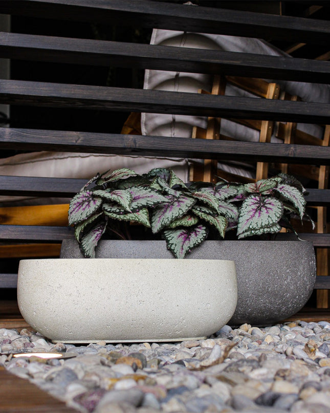 LUCA Grigio Longtail Antique White