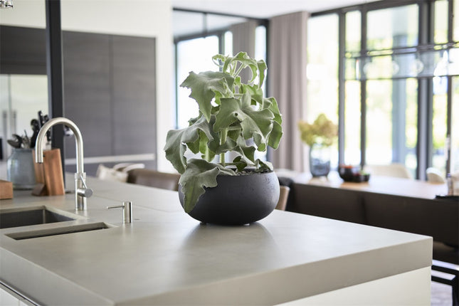 LUCA Grigio Low Balloon Anthracite