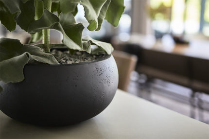 LUCA Grigio Low Balloon Anthracite