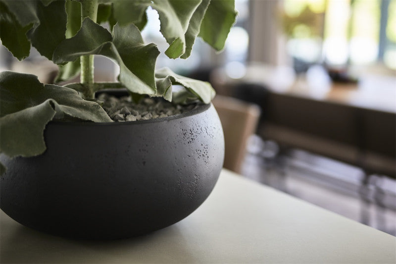 LUCA Grigio Low Balloon Anthracite