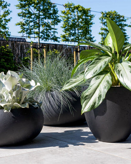 LUCA Grigio Low Balloon Anthracite