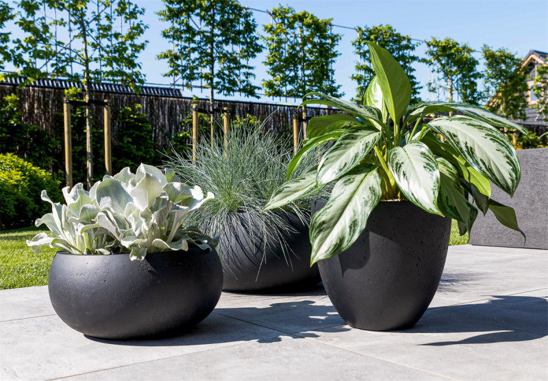 LUCA Grigio Low Balloon Anthracite