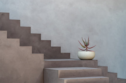 LUCA Grigio Low Balloon Antique White