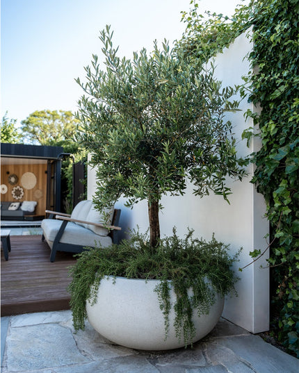 LUCA Grigio Low Balloon Antique White