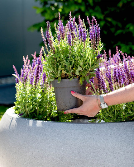 LUCA Grigio Low Balloon Natural Concrete