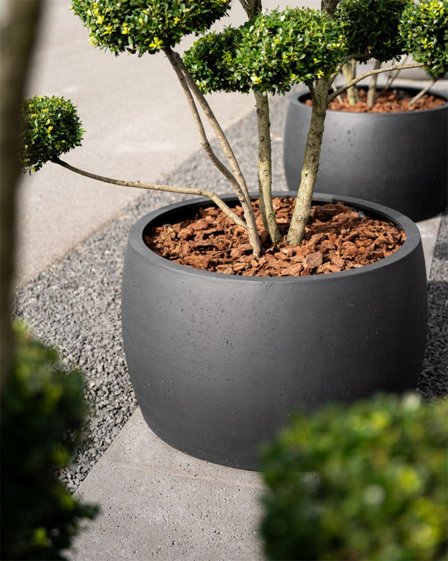 LUCA Grigio Modern Bowl Anthracite