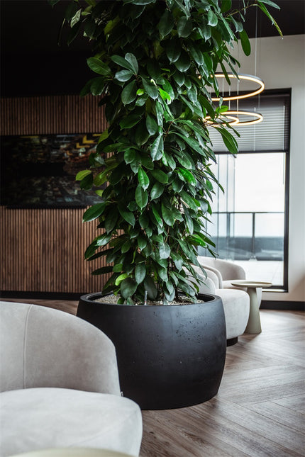 LUCA Grigio Modern Bowl Anthracite