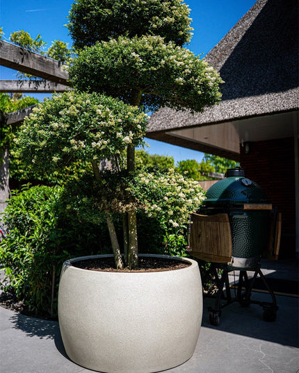 LUCA Grigio Modern Bowl Antique White