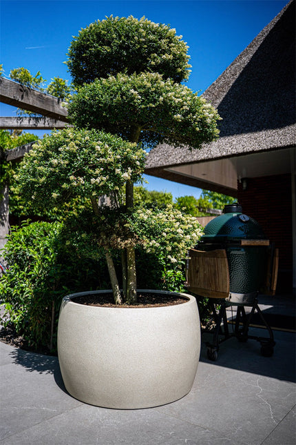 LUCA Grigio Modern Bowl Antique White