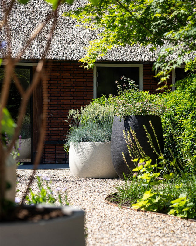 LUCA Grigio Modern Bowl Antique White