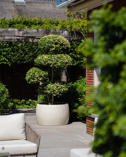 LUCA Grigio Modern Bowl Antique White