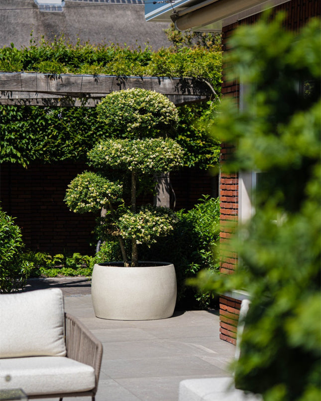 LUCA Grigio Modern Bowl Antique White