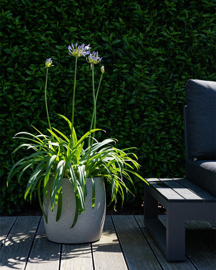 LUCA Grigio Modern Pot Natural Concrete