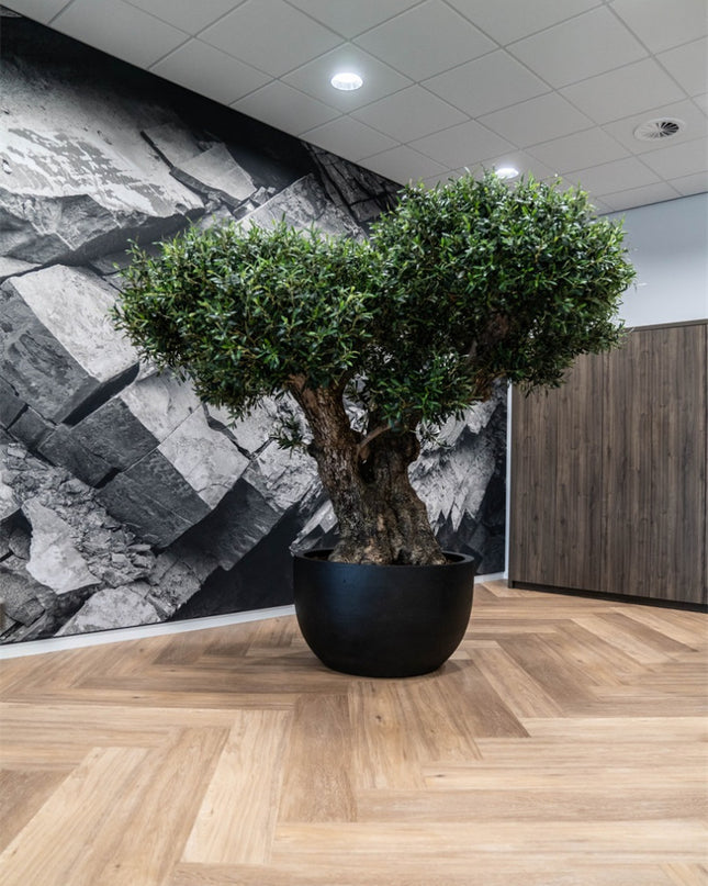 LUCA Grigio New Egg Pot Low Anthracite