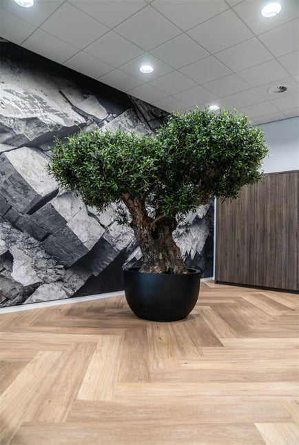 LUCA Grigio New Egg Pot Low Anthracite