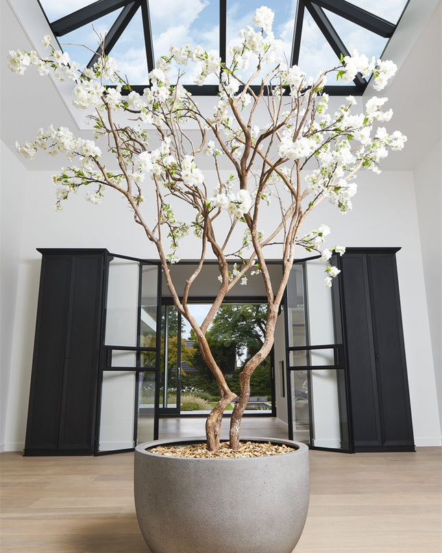 LUCA Grigio New Egg Pot Low Natural Concrete