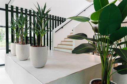 LUCA Grigio Tall Egg Pot Antique White